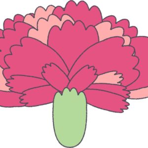 ピンクのカーネーション（正面）のフリーイラスト