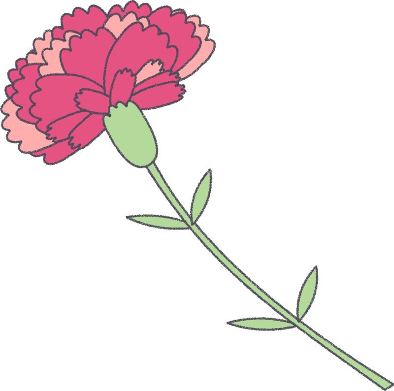 ピンクのカーネーション（茎付き）のフリーイラスト