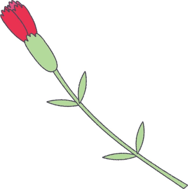 赤いカーネーション（つぼみ）のフリーイラスト