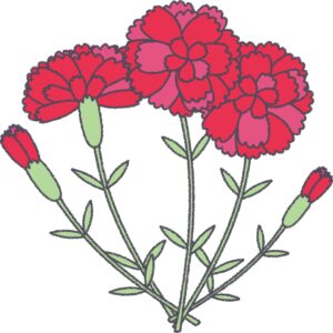 赤いカーネーション（束）のフリーイラスト