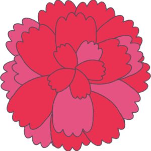 赤いカーネーション（アップ）のフリーイラスト