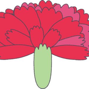 赤いカーネーション（正面）のフリーイラスト