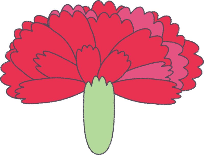 赤いカーネーション（正面）のフリーイラスト