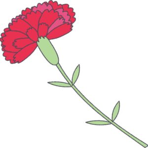 赤いカーネーション（茎付き）のフリーイラスト
