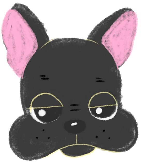 眠そうな顔のフレンチブルドッグのイラスト（ちょんまる）顔アップ