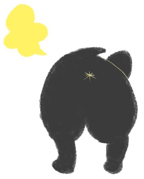 おならをする黒いフレンチブルドッグのイラスト（ちょんまる）