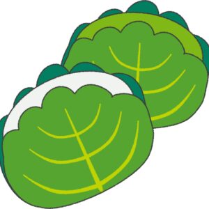 柏餅 イラスト 2個 シンプル クレヨン風 かわいい チラシ おたより 資料 無料