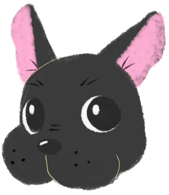 キリッとした顔のフレンチブルドッグのイラスト（ちょんまる）